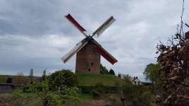 torenmolen-groot